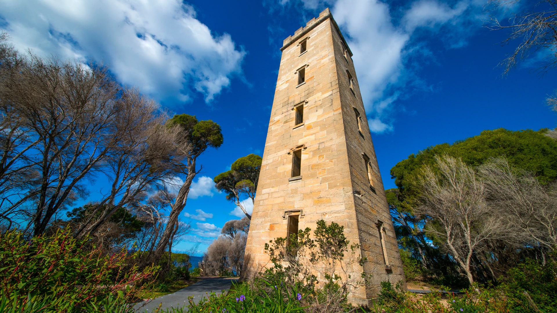 Tour panorámico​​​​​​​ con guardaparque por el Parque Nacional Beowa ​​​​​​​